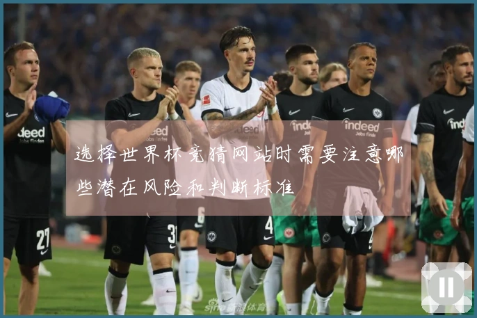 选择世界杯竞猜网站时需要注意哪些潜在风险和判断标准