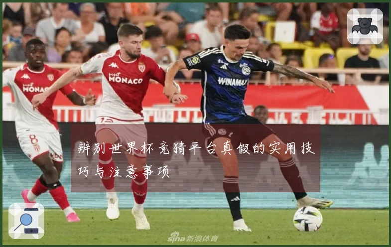 辨别世界杯竞猜平台真假的实用技巧与注意事项